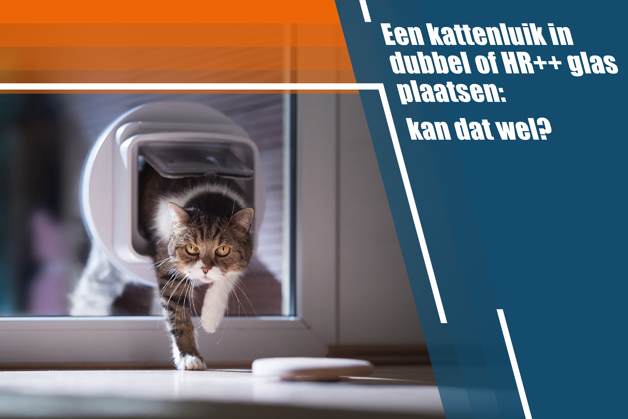 Een kattenluik in dubbel of HR++ glas plaatsen: kan dat wel?